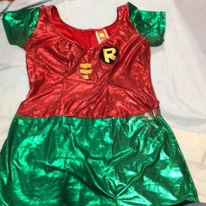 Robin costume